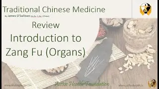 Introduction to the Zang Fu