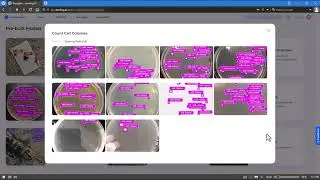 LandingLens Walkthrough