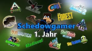1. Jahr Schedowgamer | Was alles geschah