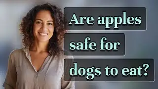 Are apples safe for dogs to eat?