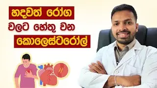 හදවත් රෝගවලට හේතු වන කොලෙස්ටරෝල් | LDL and HDL Cholesterol | Lipid Profile Test