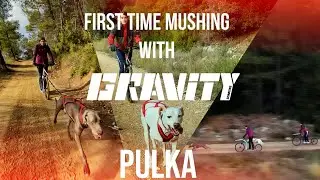 First Time Mushing with GRAVITY SCOOTERS - Easy Mushing