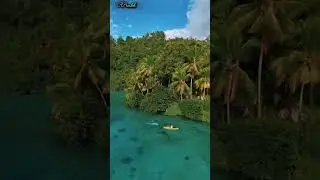 most beautiful places in the 🌍 || animal family drama #vlog #wildlife #travel #trendingvideo