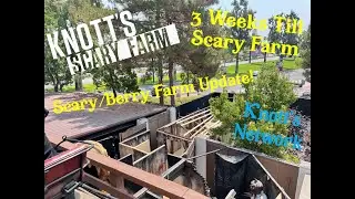 Knott's Scary Farm Construction Update Vlog! Also general updates low crowds, The Goose is Back!