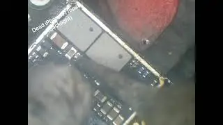 Dead iPhone 11 repair (backlight cap)