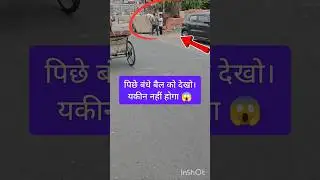 Live footage NH 9 some one  following the rituals #trending