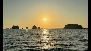 Panache Catamaran Sunset Sail Playa Flamingo