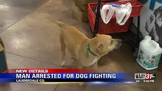 Man Arrested For Dog Fighting
