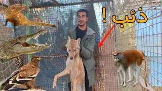 زيارة لحديقة حيوانات محلة الزياد !