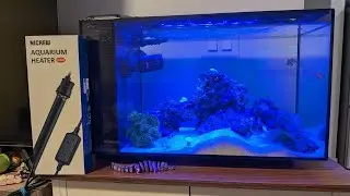 Fluval Sea Aquarium: Do I need a water top up unit? #saltwateraquarium #fishkeeping 