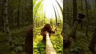 Bigfoot&rsquo;s Epic Selfie Invention: Nature&rsquo;s Ultimate Vlog Hack! #Bigfoot #ForestVlog #SelfieFail #Come