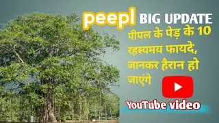 Peepl ka 🌱plant bahut rahsyamay phayade hai