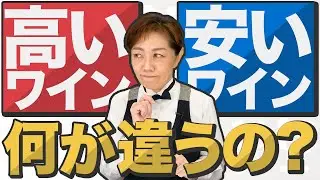 【超納得】高いワインと安いワイン、何が違う？【プロが解説】