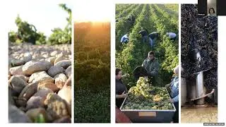 STARS of Wine Interviews | Ian Blackburn with Isabel Sabon of Domaine De La Janasse