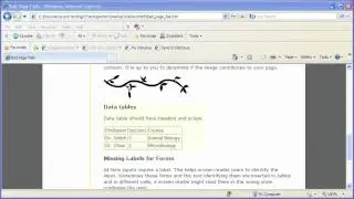 Table Summary Attribute: Web Accessibility Manual Checks