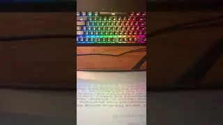 Hyper X Alloy Origins w/ Hyper X Reds & Lubed Stabs Typing Test