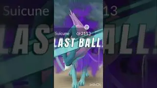 Shadow Suicune vs Last ball 🤯 || Shadow Legendary raid pokemon go #anime #gaming