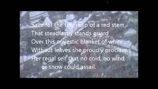 What, and How Deep Do I Know? My Winter Musings. . . .