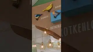 Die h&auml;ufigsten V&ouml;gel in Deutschland 🪶🐦🐦&zwj;⬛🪽🐥