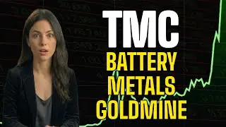 This Deep-Sea Mining Play Could Disrupt the Global Metals Market | TMC stock analysis