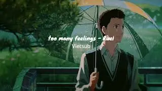 too many feelings - Ruel ( vietsub )