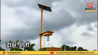 Grapes Pest Control | Useful & Effective Solar Insect Trap - Self Working  | 100% Made In India