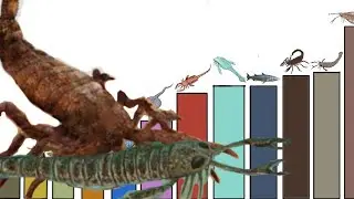 Niveles de poder del Silúrico 