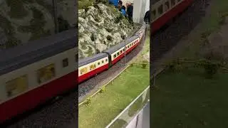 Daily Swiss Train - Model Railroad / SBB RAe TEE #train #switzerland #trainspotting
