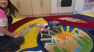 Lumi the Robot Dog