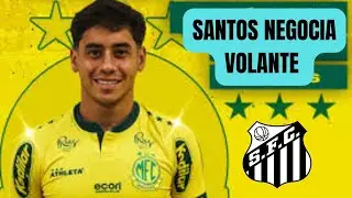 SANTOS NEGOCIA COM VOLANTE DO MIRASSOL !!