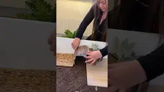 Bygger en skog till mina igelkottar