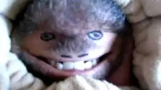 Top   large predator on Earth