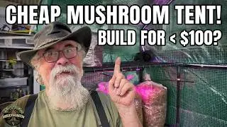 Building a DIY Mushroom Grow Tent on the Cheap!