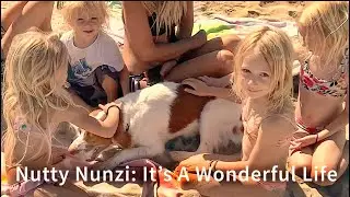 🐶 Nutty Nunzi: It&rsquo;s A Wonderful Life 🐕