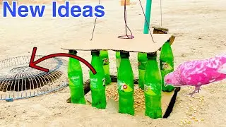 Pigeon Trap Under Ground | How To Make Pigeon Trap Using Plastic Bottles with Fan Tools | @ABTraps