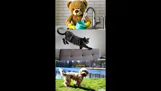 Google’s text-to-video AI