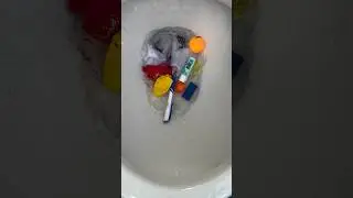 Flushing random stuff down the toilet