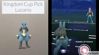 Kingdom Cup Pick - Lucario