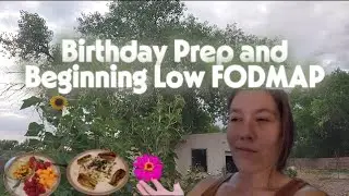 Birthday Prep and Low Fodmap Beginnings - Quitting Smoking Vlog Ep 11