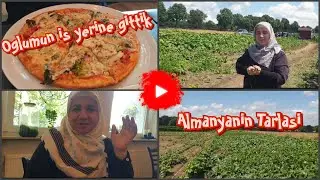 Tarlaya gittik✅Cok mutlu oldum ✅ Fasulye, Salatalik topladim✅ Esimle keyifli bir gün✅Ogluma gittik🍕