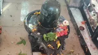 good morning ji 🙏 welcome