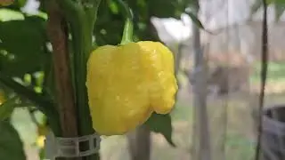 Мы создаём