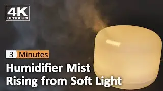 Humidifier Mist Rising from Soft Light &ndash; Calm Observation【4K】