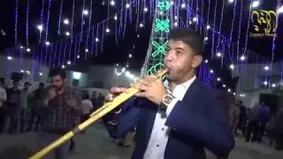 الفنان محمد ابوغربي شاعر المجوز واليرغول صقر الوردات افراح الحوراني اخراج ابوالوطن