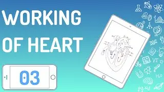 Working of Heart | Bio Desk | Dr. Nayan