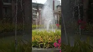 Modala Fountain Landscape