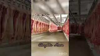 Бойня