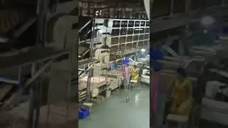 on visit to parle g factory #parleg #trending #viral #shortsfeed #ytshorts