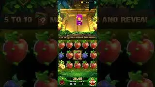 jungle delight 15 spin free