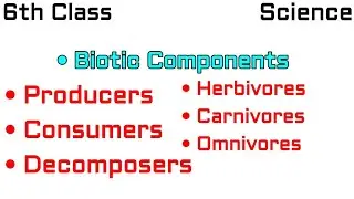 Biotic Components , Consumers , Producers , Decomposers , Herbivores , Carnivorous , Omniverse